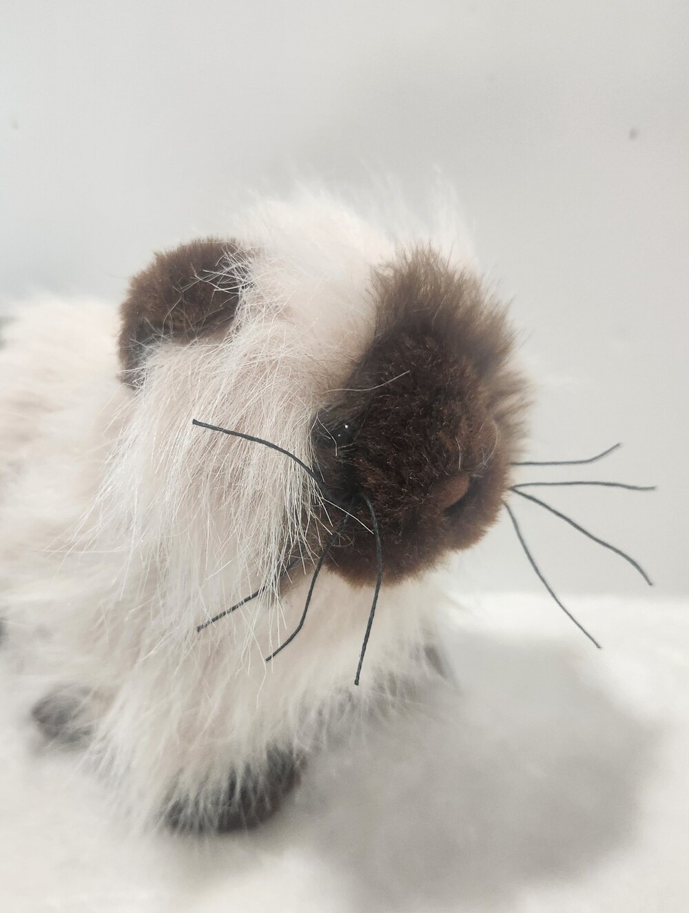 Ganz Webkinz Himalayan Persian Siamese Cat Stuffie Plush Toy With Code HM165 - Picture 5 of 12